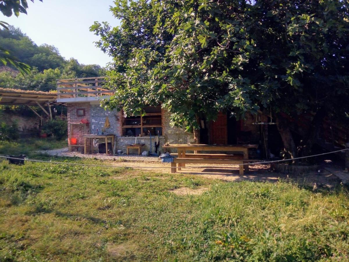 The House In The Village Pellumbas エクステリア 写真