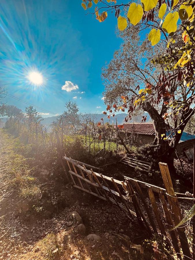 The House In The Village Pellumbas エクステリア 写真