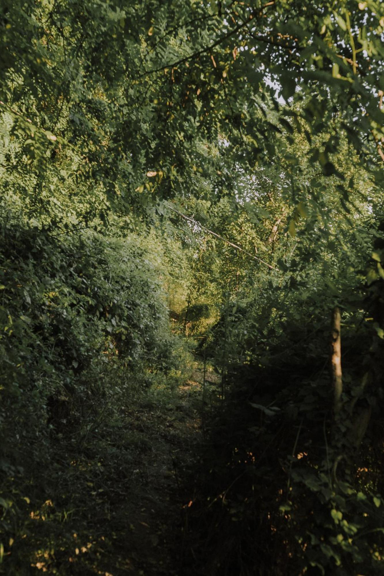 The House In The Village Pellumbas エクステリア 写真