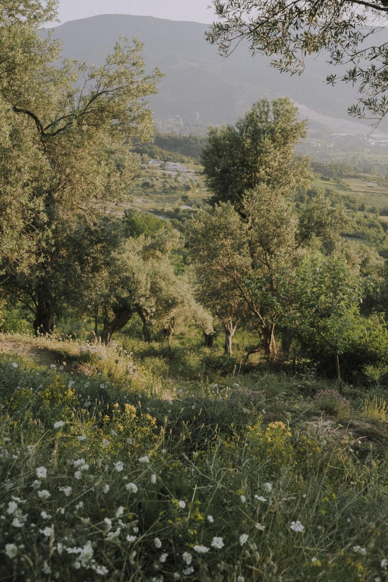 The House In The Village Pellumbas エクステリア 写真