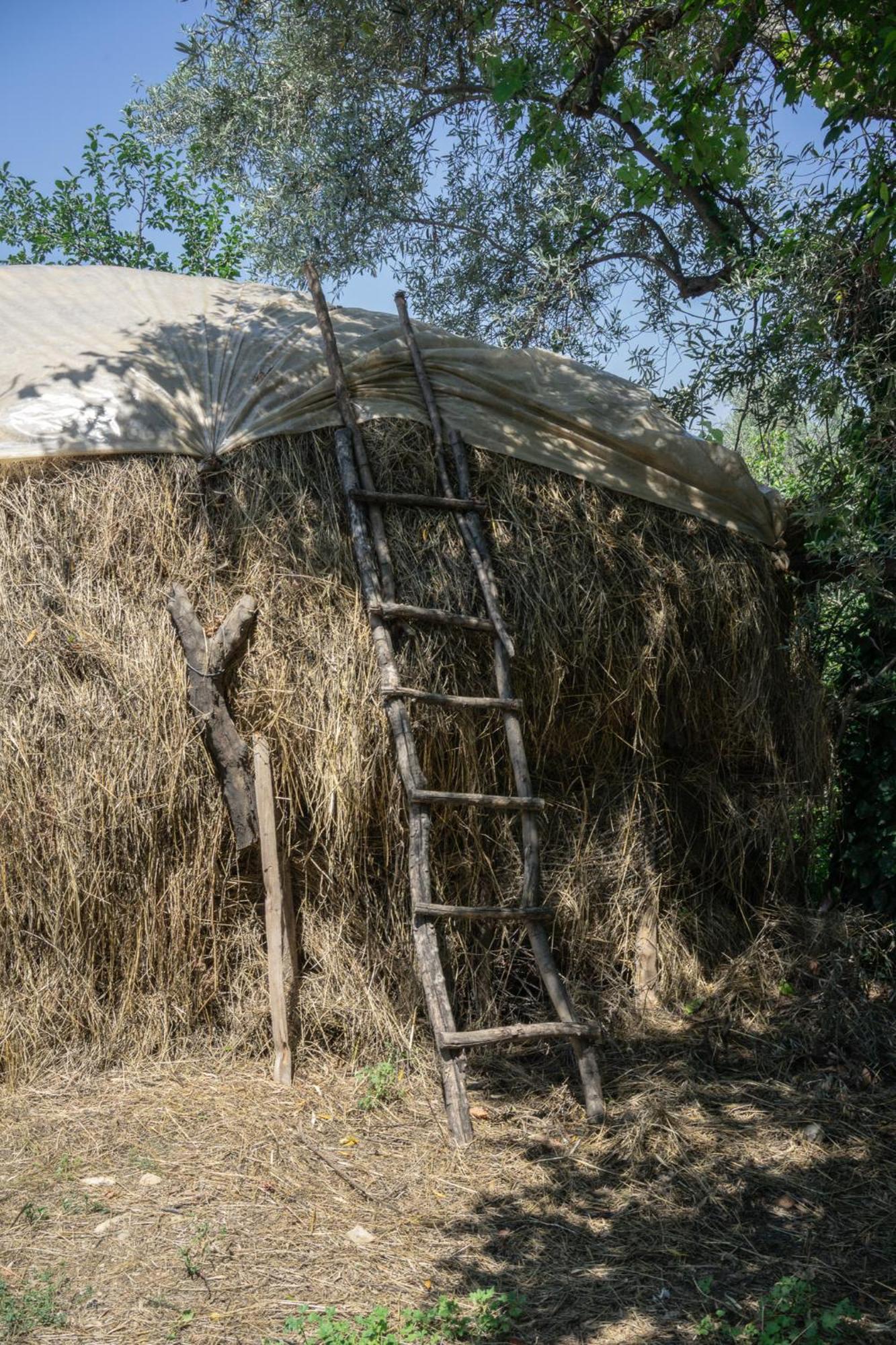 The House In The Village Pellumbas エクステリア 写真